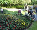Salford Rainbow Flag Flower Beds